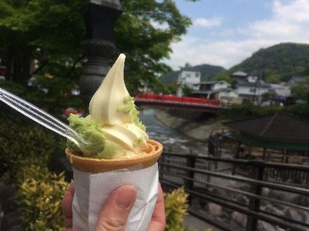 伊豆・修善寺! 伊豆・修善寺!