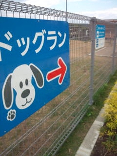 新東名を走ってきました!