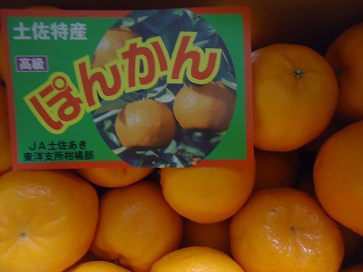 “ぽんかん”
