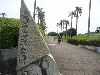 竜洋海洋公園の巨大すべり台