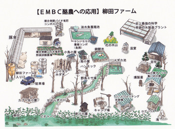 バイオの話(その2)
