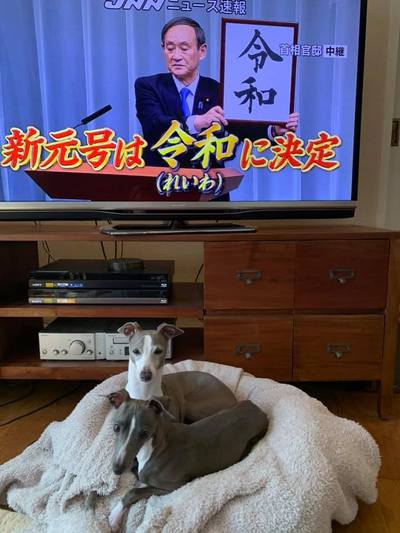 素敵な新元号 素敵な新元号