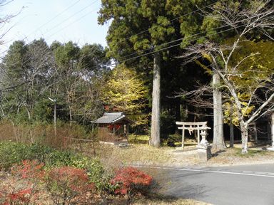 掛川市民大学校「学びのバス」11月28日(日) ~我が街の美術館~