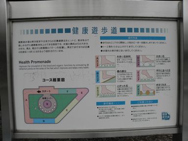 掛川市民大学校「学びのバス」11月28日(日) ~我が街の美術館~