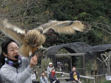 掛川市民大学校「学びのバス」11月28日(日) ~我が街の美術館~
