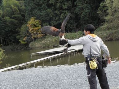 掛川市民大学校「学びのバス」11月28日(日) ~我が街の美術館~