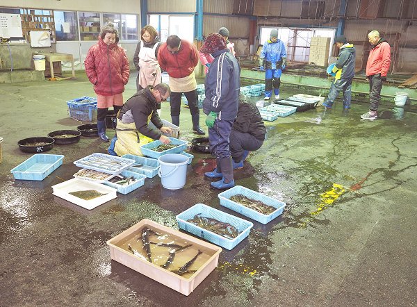 浜名湖雄踏市場漁期終了 最終日もマハゼ 来期は4月2日から 浜名湖雄踏市場漁期終了 最終日もマハゼ 来期は4月2日から