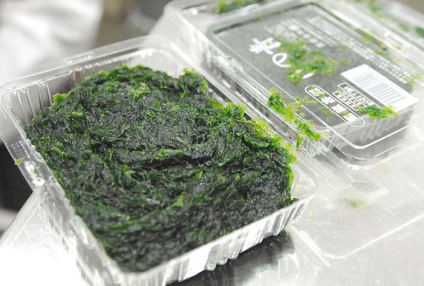 浜名湖アサリ・生海苔販売開始 舞阪トラフグ・アカムツ・御前崎地キンメ 浜名湖アサリ・生海苔販売開始 舞阪トラフグ・アカムツ・御前崎地キンメ