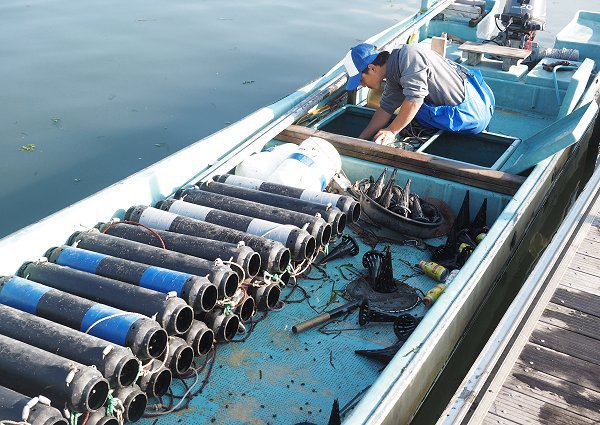浜名湖雄踏市場ツボ漁のギンポ、ホシガレイ・マゴチ・ワタリガニ 浜名湖雄踏市場ツボ漁のギンポ、ホシガレイ・マゴチ・ワタリガニ