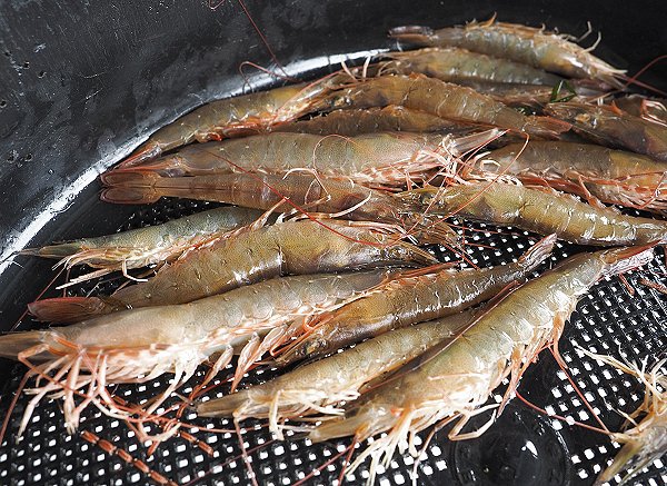 浜名湖雄踏市場 ボソと呼ばれるヨシエビの季節 浜名湖雄踏市場 ボソと呼ばれるヨシエビの季節