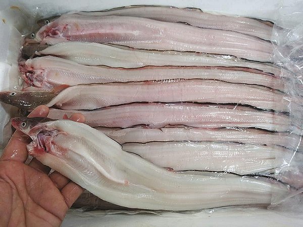 金洲日戻り地キンメ、浜締めカンパチ、開きアナゴ、仙鳳趾殻付き牡蠣、岩手イシカゲ貝揃います 金洲日戻り地キンメ、浜締めカンパチ、開きアナゴ、仙鳳趾殻付き牡蠣、岩手イシカゲ貝揃います