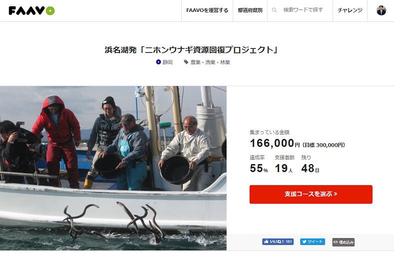 「エブリィしずおか」で浜名湖発「日本ウナギ資源回復プロジェクト」インタビュー放送 「エブリィしずおか」で浜名湖発「日本ウナギ資源回復プロジェクト」インタビュー放送