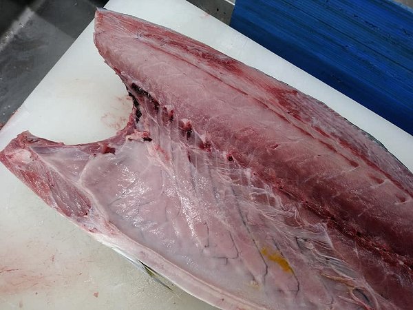 北海道氷〆ブリ、陸送新サンマ、生筋子はじまりました マダラ・カナダ産オマール 北海道氷〆ブリ、陸送新サンマ、生筋子はじまりました マダラ・カナダ産オマール