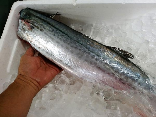 北海道活〆天然ブリ、生うに・新サンマ、長崎開きアナゴ、舞阪もの神経抜きマアジ、カマス・タチウオ・サワラ・チョウカ 北海道活〆天然ブリ、生うに・新サンマ、長崎開きアナゴ、舞阪もの神経抜きマアジ、カマス・タチウオ・サワラ・チョウカ