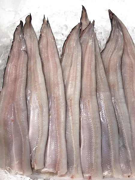 トラフグ、北海道活〆ブリ・筋子・新サンマ・仙鳳趾殻付き生牡蠣あります。加熱用牡蠣・アン肝・イセエビ トラフグ、北海道活〆ブリ・筋子・新サンマ・仙鳳趾殻付き生牡蠣あります。加熱用牡蠣・アン肝・イセエビ