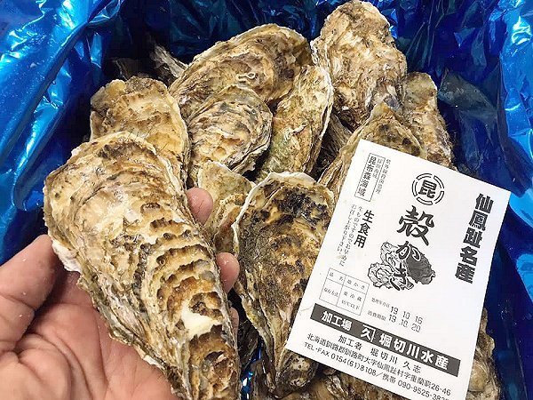 北海道タラの白子、仙鳳趾殻付き生牡蠣、宮城リアスホタテ貝柱、岩手加熱用牡蠣、愛知ボイルシャコ、カラスミはじまる 北海道タラの白子、仙鳳趾殻付き生牡蠣、宮城リアスホタテ貝柱、岩手加熱用牡蠣、愛知ボイルシャコ、カラスミはじまる