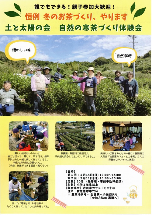 今年の寒茶づくりは 今年の寒茶づくりは