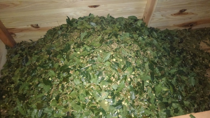 薪炒り番茶 薪炒り番茶