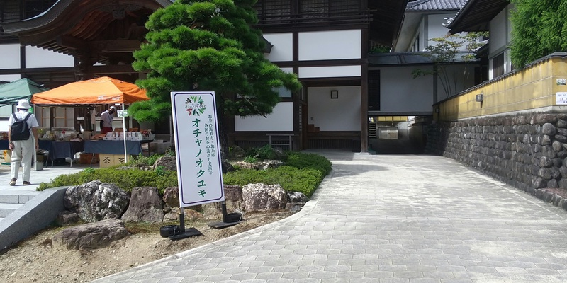 玉山白茶と鳳凰単欉(ほうおうたんそう) 玉山白茶と鳳凰単欉(ほうおうたんそう)