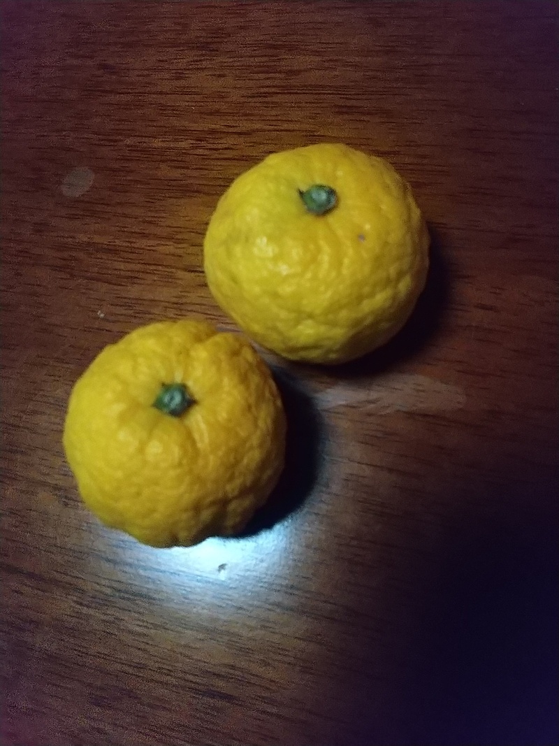 ゆずについて ゆずについて