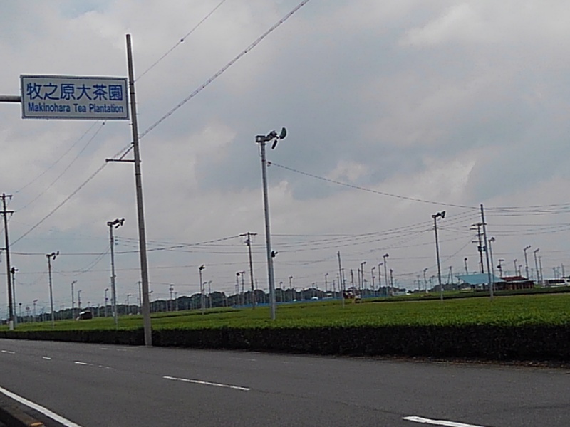 雨の時期 雨の時期