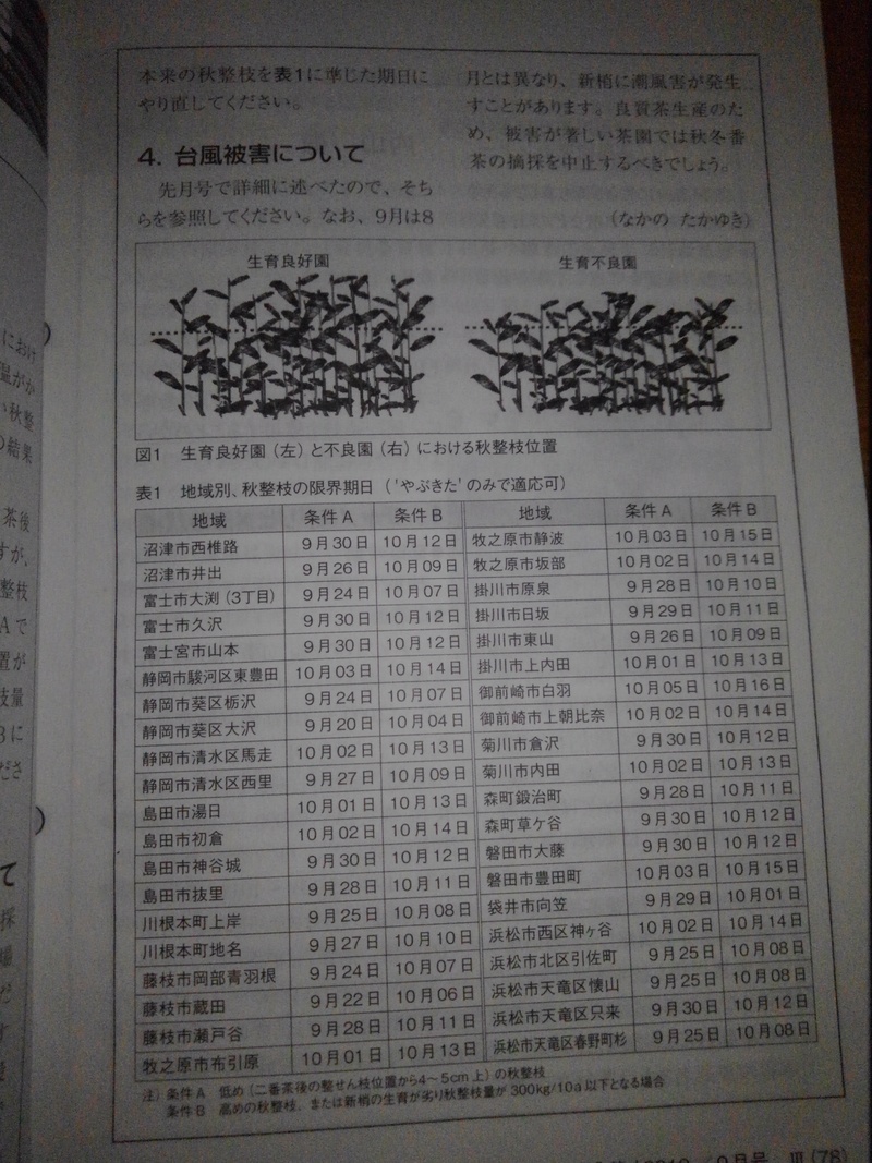 秋整枝 秋整枝