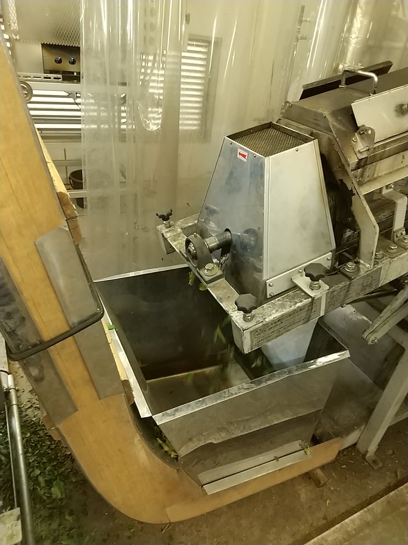 抹茶の製造工程 抹茶の製造工程