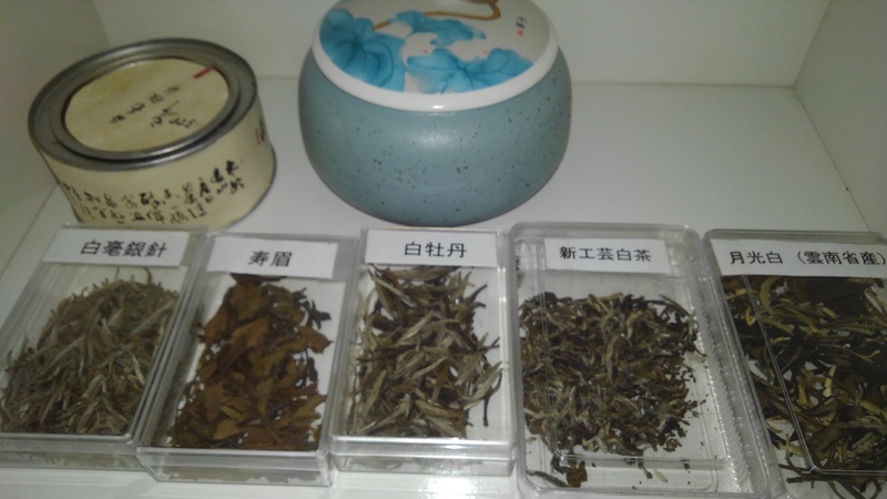 白茶について 白茶について