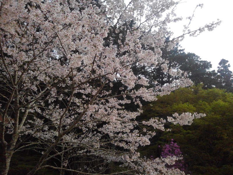 法多山 法多山