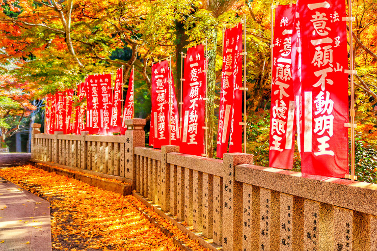 袋井市遠州三山の紅葉がとってもきれい！これこそ「紅葉の錦」ーーー遠州三山紅葉巡り