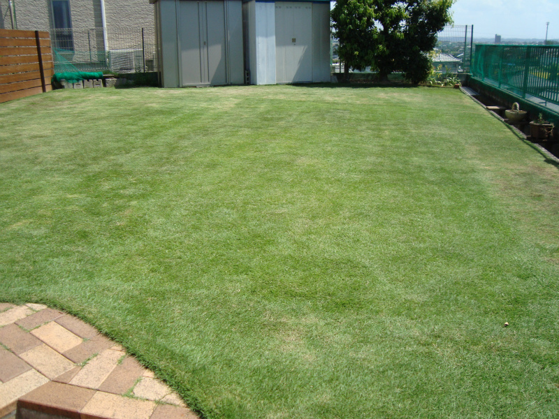 浜松市U様邸 芝生管理(芝刈り、施肥) 浜松市U様邸 芝生管理(芝刈り、施肥)