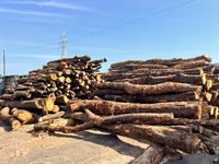 薪の原木小運搬