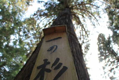 大洲七椙神社 大洲七椙神社