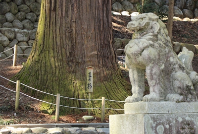 大洲七椙神社 大洲七椙神社