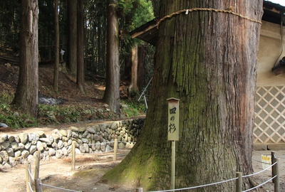 大洲七椙神社 大洲七椙神社