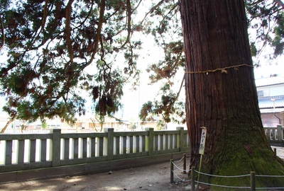 大洲七椙神社 大洲七椙神社