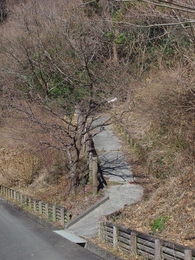 千頭峯城跡 千頭峯城跡