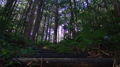 千頭峯城跡 千頭峯城跡