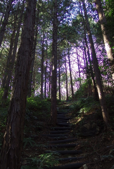 千頭峯城跡 千頭峯城跡