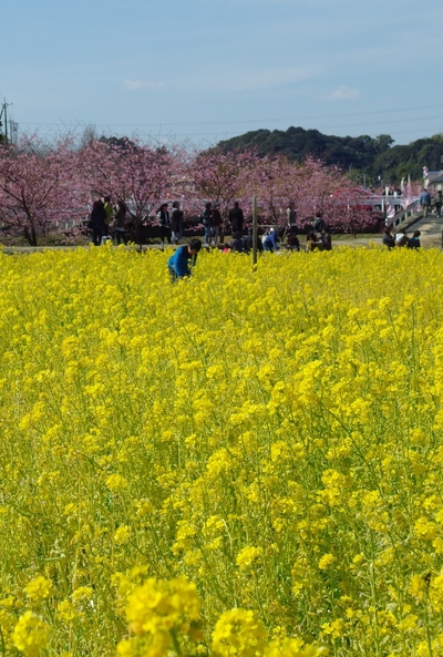 浜松新名所!! 浜松新名所!!