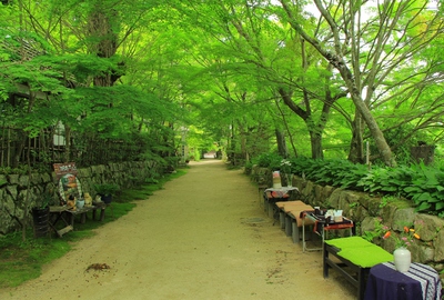 古刹『長寿寺』 古刹『長寿寺』