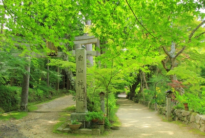 古刹『長寿寺』 古刹『長寿寺』