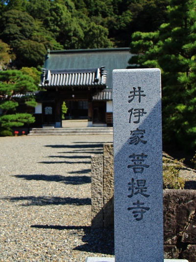 井伊家ゆかりの社寺 井伊家ゆかりの社寺