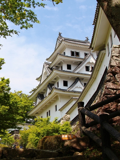 日本一美しい城 日本一美しい城