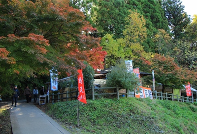 素晴らしき『鶏足寺』紅葉 素晴らしき『鶏足寺』紅葉