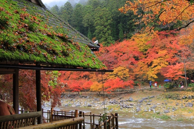 素晴らしき≪香嵐渓≫ 素晴らしき≪香嵐渓≫