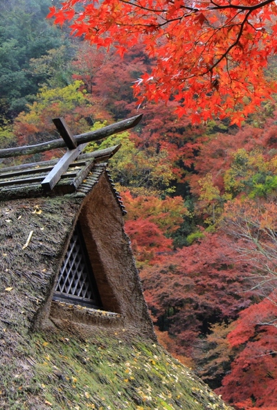 素晴らしき≪香嵐渓≫ 素晴らしき≪香嵐渓≫