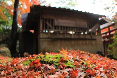 岩屋堂紅葉 岩屋堂紅葉