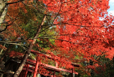 岩屋堂紅葉 岩屋堂紅葉