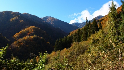 片桐松川渓谷 片桐松川渓谷